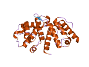 2eyn: Crystal structure of the actin-binding domain of human alpha-actinin 1 at 1.8 Angstrom resolution