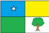 Flag of Santa Maria do Cambucá