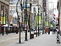 'Brandon' elms, Stephen Avenue Mall, Calgary