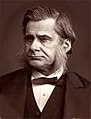 Thomas Henry Huxley (1825-1895)