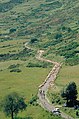 Transhumance au mont Aigoual.