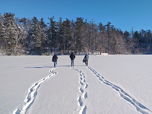 Three men walking across frozen Bond Lake, Ontario, Canada