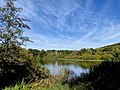 Wasservögel an der Lingese-Talsperre