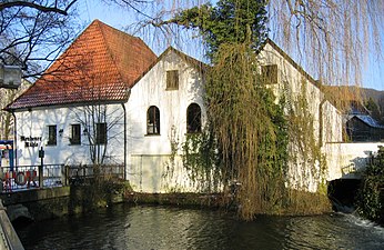 Slotmolen met molenvijver