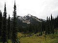 View from Eva Lakes Trail