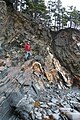 Anticline and quartz "saddle reef" vein at The Ovens, Nova Scotia