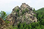 A large rock formation in a forest