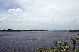 Lake Tarpon from John Chestnut Park in East Lake.