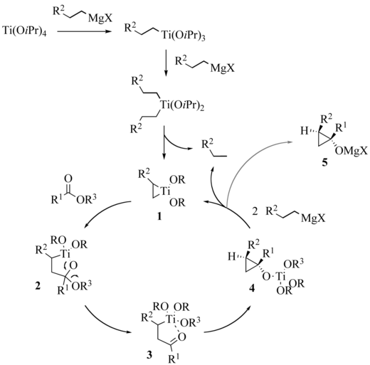 Reaction mechanism