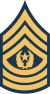 sergeant major