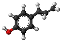 Ball-and-stick model of the chavicol molecule