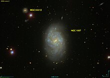 NGC 1087 SDSS.jpg