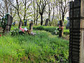 Cemetery at the Protestant church