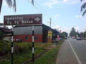 To Homestay Kg. Sg. Badak - panoramio.jpg