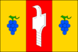 Vlag