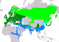 Distribución de Accipiter nisus