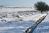 Aston Upthorpe Downs