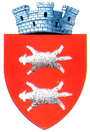 Buhuși – znak