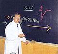 Lembeck erklärt 1970 in Graz die Pharmakologie des Serotonins