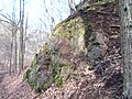 Monzonit im Tännichtgrund bei Niederwartha (Meißner Massiv), dort mit geschütz­ter Pläner­verwerfung