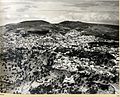 Safad 1937