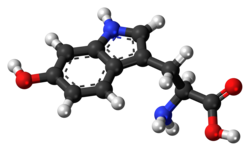 5-هيدروكسي التريبتوفان