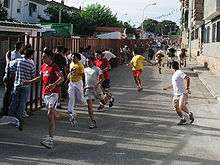 Aldea del Fresno Encierro01.jpg