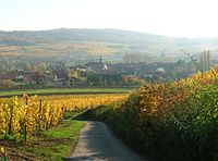 Blick auf Bergbieten