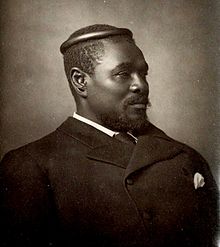 Cetshwayo kaMpande, the king