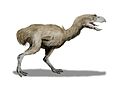 Paraphysornis brasiliensis (Gruiformes del Miocene)