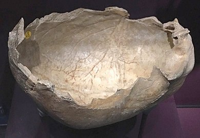 Human skull cup from Gough's Cave, England