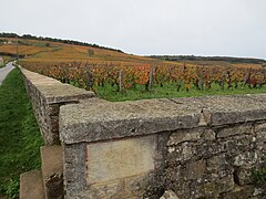 Romanée-conti