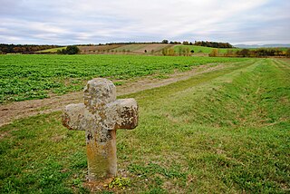 Das Dimbacher Flugsandgebiet an der Grenze zwischen den Gemarkungen von Dimbach und Gerlachshausen, das bereits im flacheren Schwarzacher Becken liegt