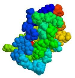 Pankreatischer Trypsin-Inhibitor (Bos taurus)