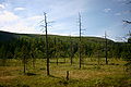 Landschaft in Fulufjället