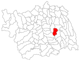 Location in Bacău County