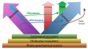 Primordial life with early Eukaryote/Prokaryote split