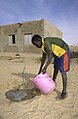 Image 66Young man waters a newly planted tree in Mali (2010) (from Agroforestry)