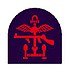 Insignia of Combined Operations units it is a combination of a red Thompson submachine gun, a pair of wings, an anchor and mortar rounds on a black backing