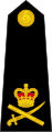 Lieutenant-general (Royal Marines)