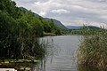 General view of the pond