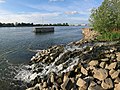 Die Mündung des Winkelbachs in den Rhein bei Gernsheim