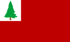 Historical flag of New England, pine tree version