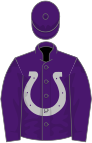 Purple, silver horseshoe