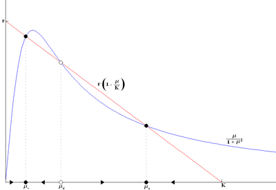 Ricerca dei punti d'equilibrio nel sistema Spruce Budworm (3 pt d'equilibrio)