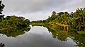 রঘুখালি ব্রিজ থেকে তোলা নরসুন্দা নদী