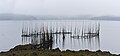 Native American fish trap near Eastport, Maine USA