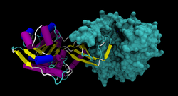 Ketohexokinase