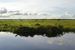 Horizonte de Beni