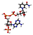 NADPH 53-57-6